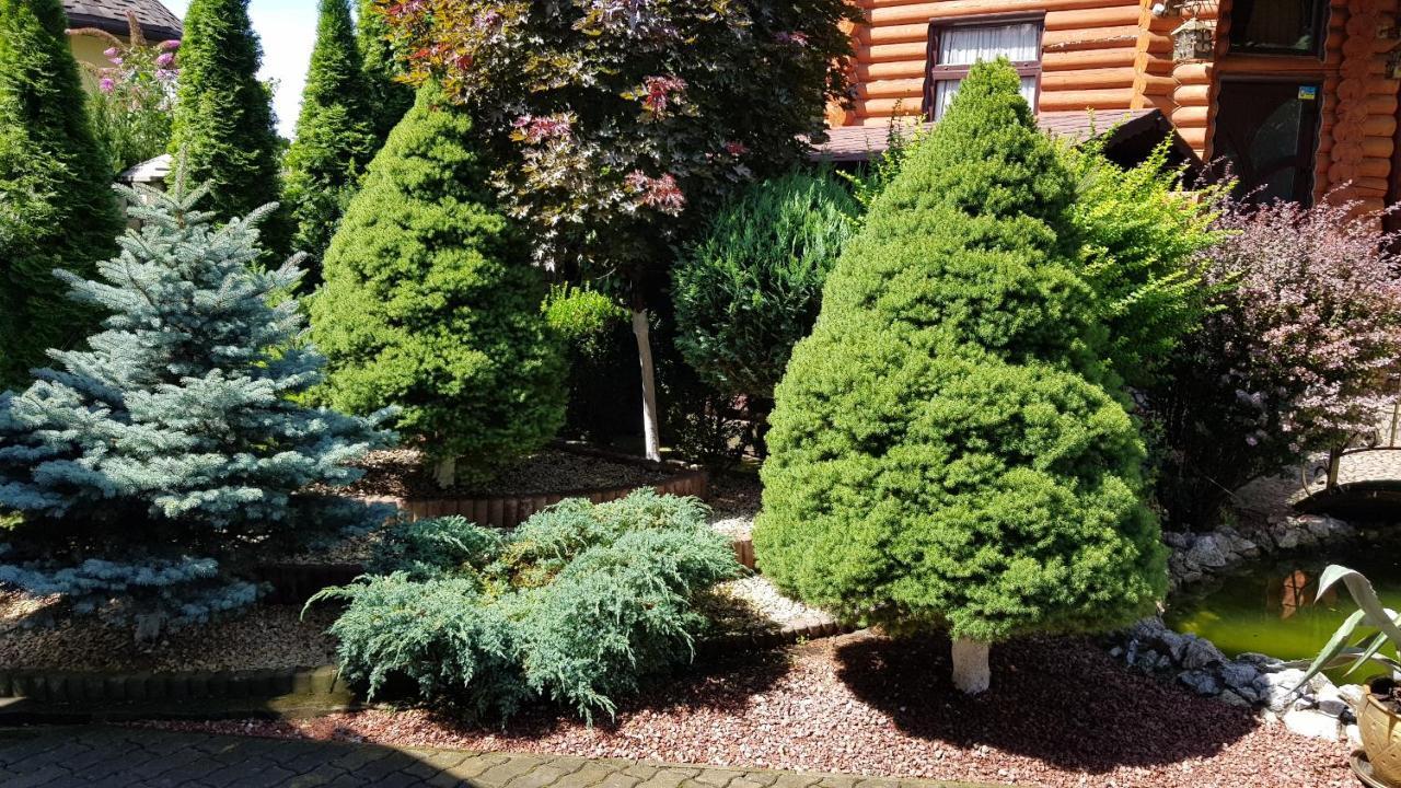 Luxury Villa With Pool And Sauna Çernivtsi Dış mekan fotoğraf